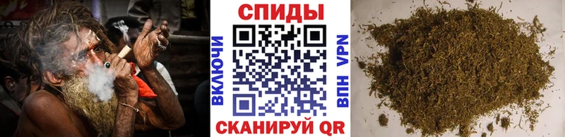 сколько стоит  Шахунья  Бутират жидкий экстази 