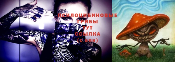 ешки Беломорск