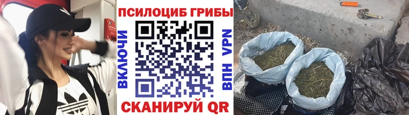 Псилоцибиновые грибы MAGIC MUSHROOMS  это как зайти  Шахунья 